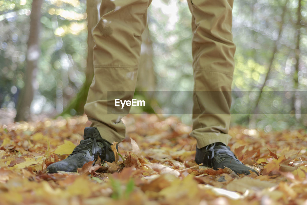 Low section of man standing on fallen autumn leaves in forest