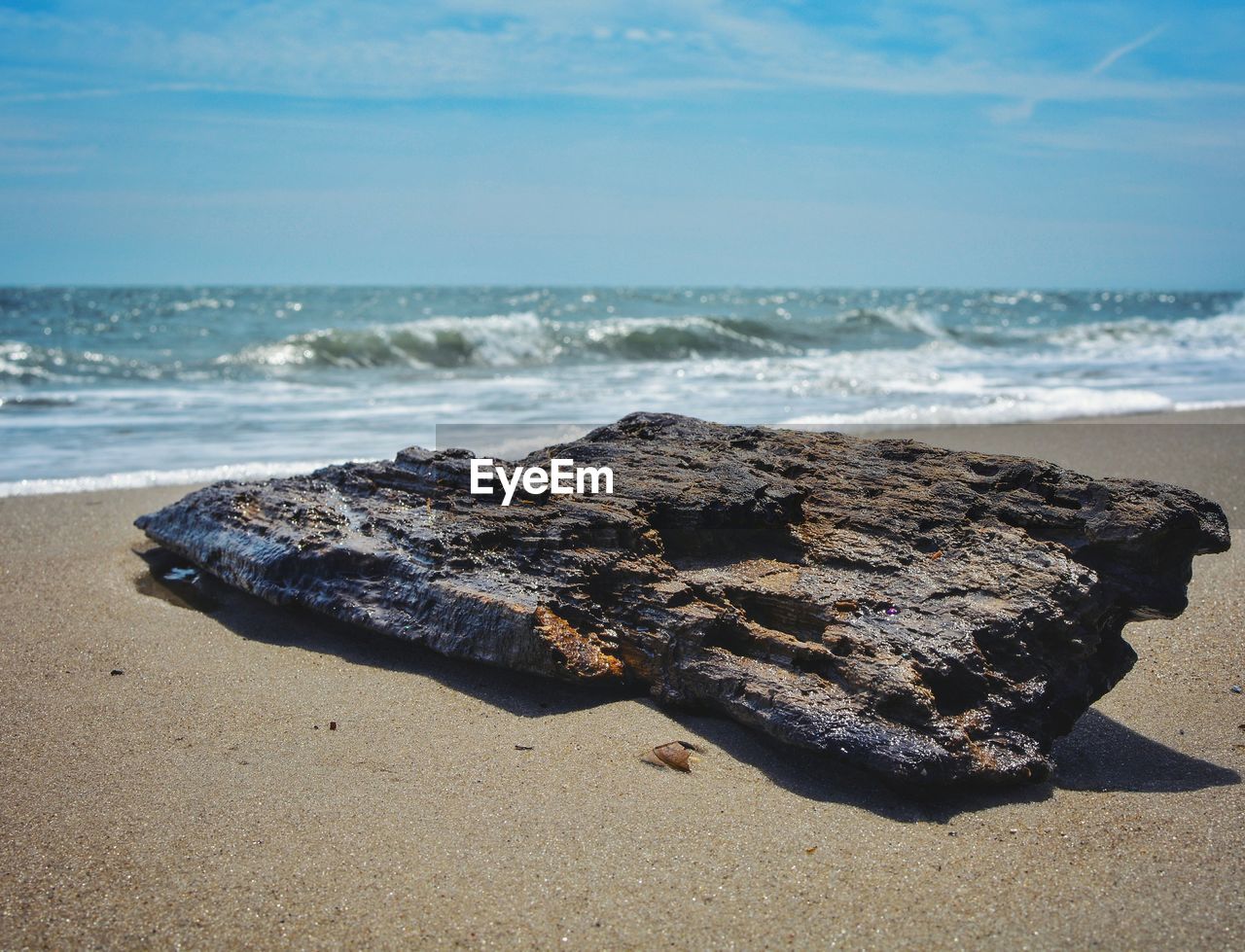 Close-up of rock on beach against sky