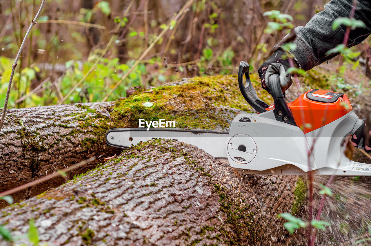 chainsaw, plant, one person, nature, soil, grass, vehicle, day, tree, forest, green, outdoors, land, autumn, adult, leisure activity, leaf, selective focus, natural environment, transportation, men, flower