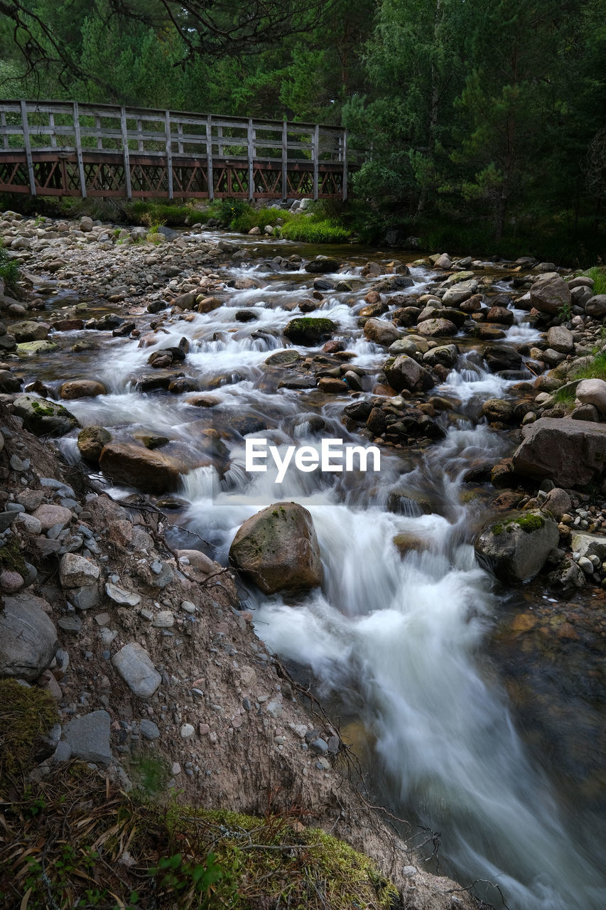 water, river, stream, body of water, beauty in nature, forest, tree, nature, plant, watercourse, scenics - nature, land, creek, rock, rapid, wilderness, motion, flowing water, environment, no people, long exposure, non-urban scene, autumn, outdoors, waterfall, flowing, water feature, woodland, tranquility, day, landscape, tranquil scene, blurred motion, growth, leaf, idyllic