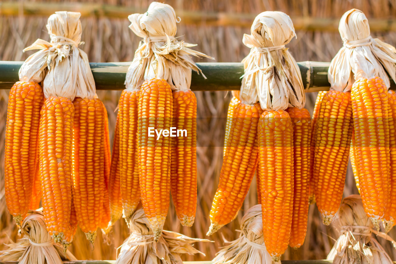 Close-up of corns for sale at market