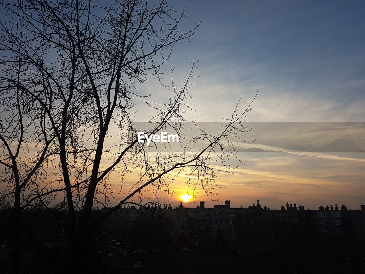 SILHOUETTE OF TREE AGAINST SKY DURING SUNSET