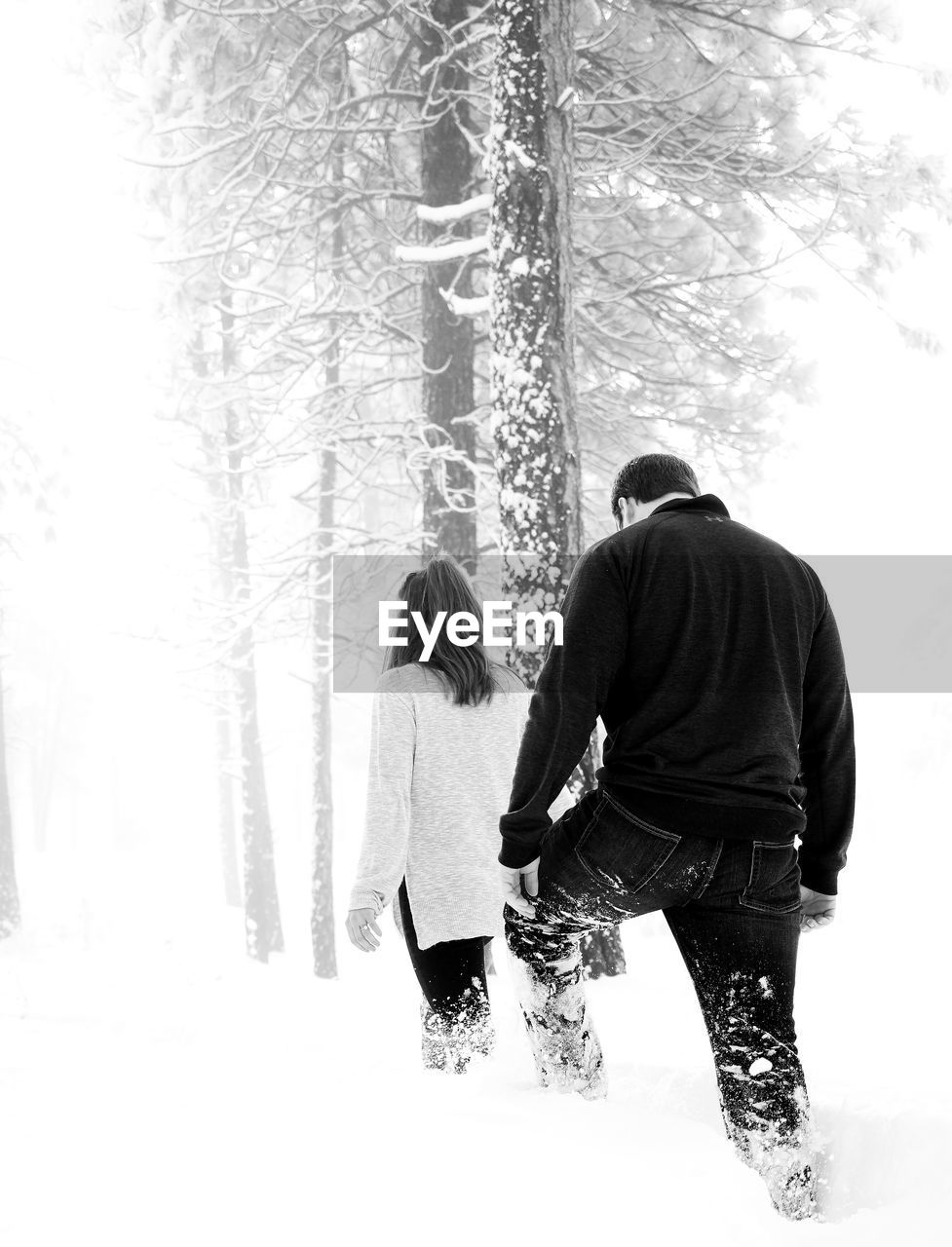 Rear view of friends walking by trees on snow covered field