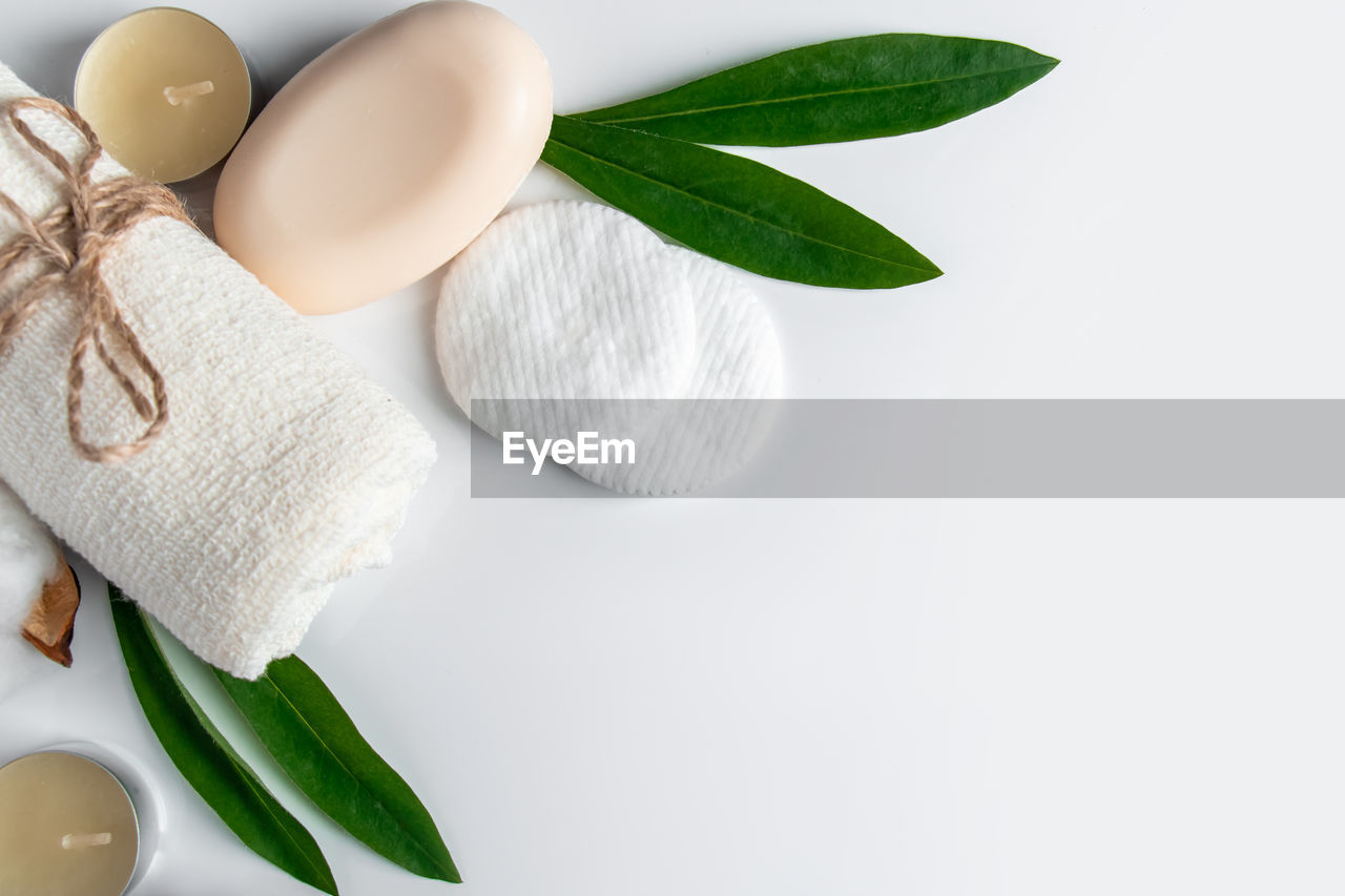 food, leaf, food and drink, plant part, wellbeing, ingredient, freshness, indoors, herb, studio shot, no people, nature, plant, still life, white, green, healthy eating, copy space, white background, close-up, spice, group of objects, high angle view, egg, flower, simplicity, sparse, organic