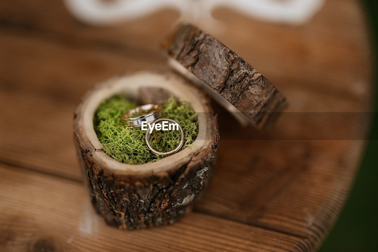 high angle view of potted plant on table