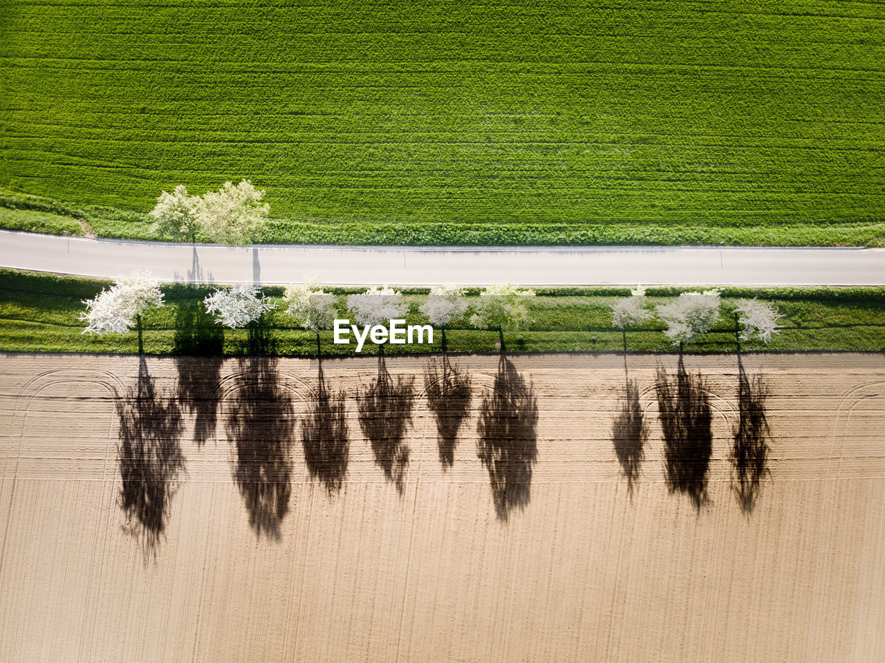 Aerial view of farm during sunny day