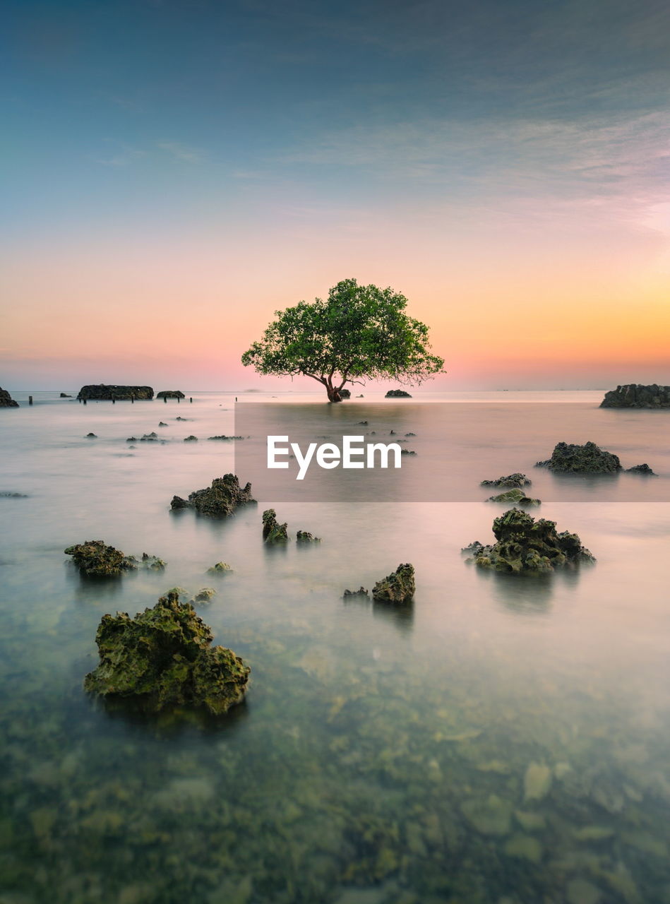 Scenic view of sea against sky during sunset