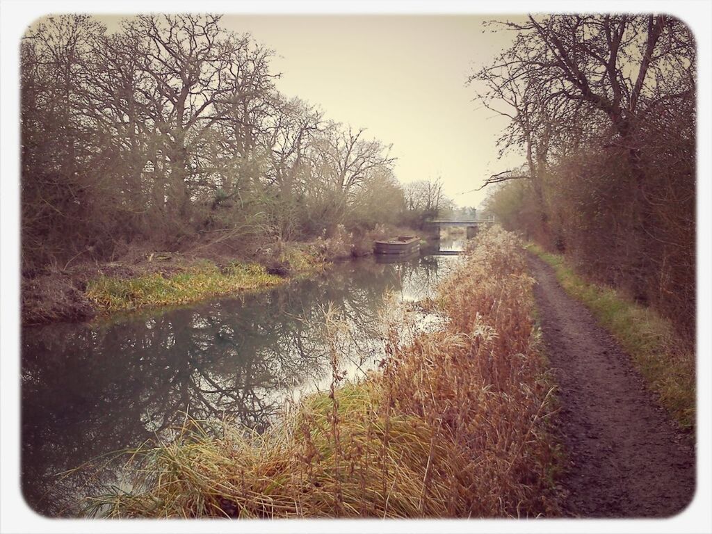River amidst bare trees against sky