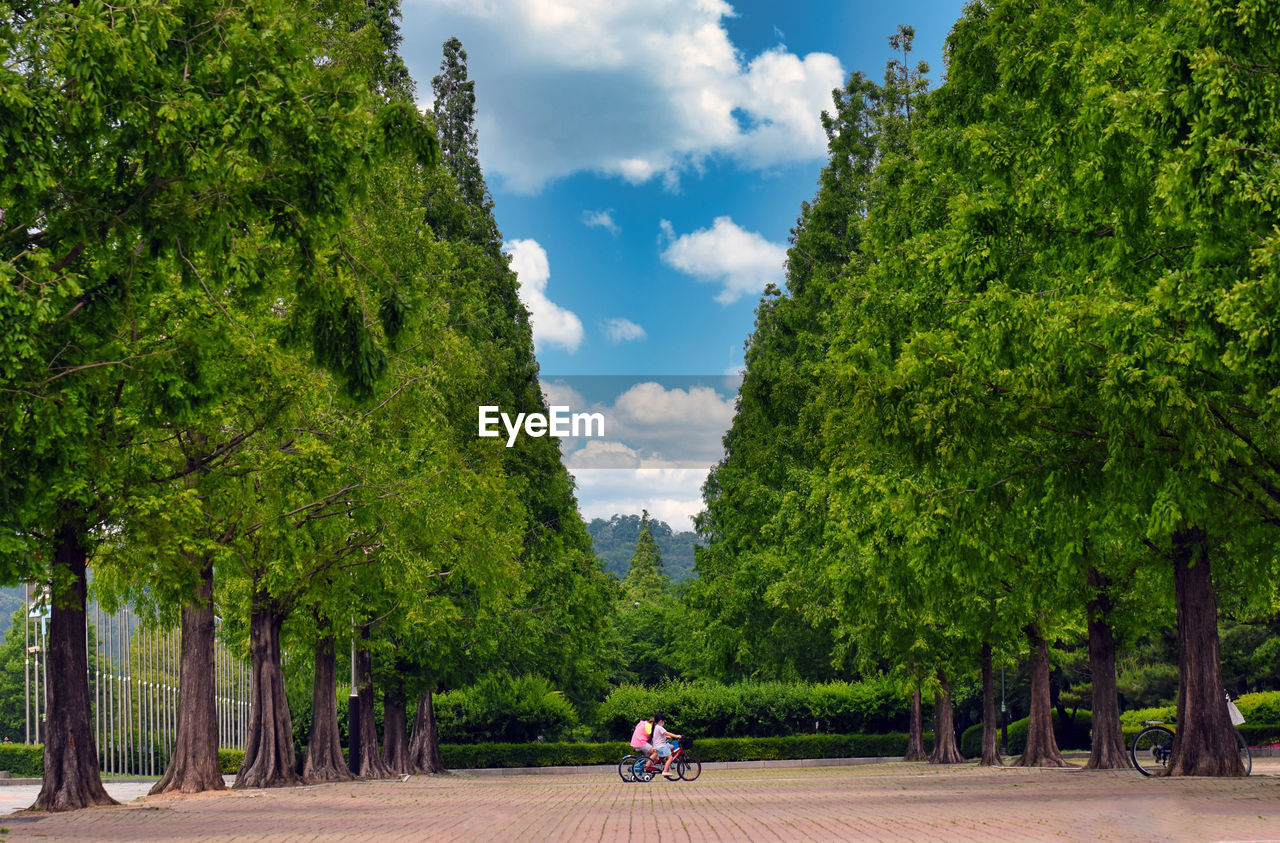 REAR VIEW OF PEOPLE ON TREES BY PLANTS AGAINST SKY