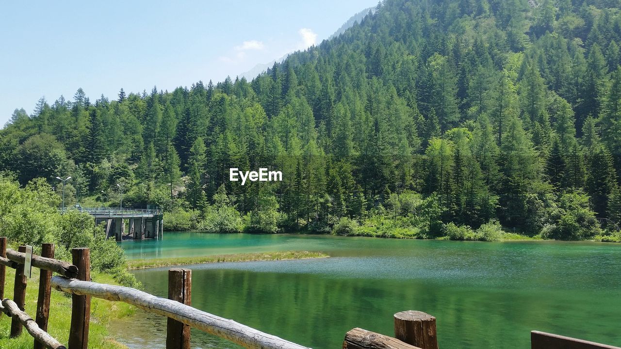 SCENIC VIEW OF LAKE AND TREES AGAINST SKY