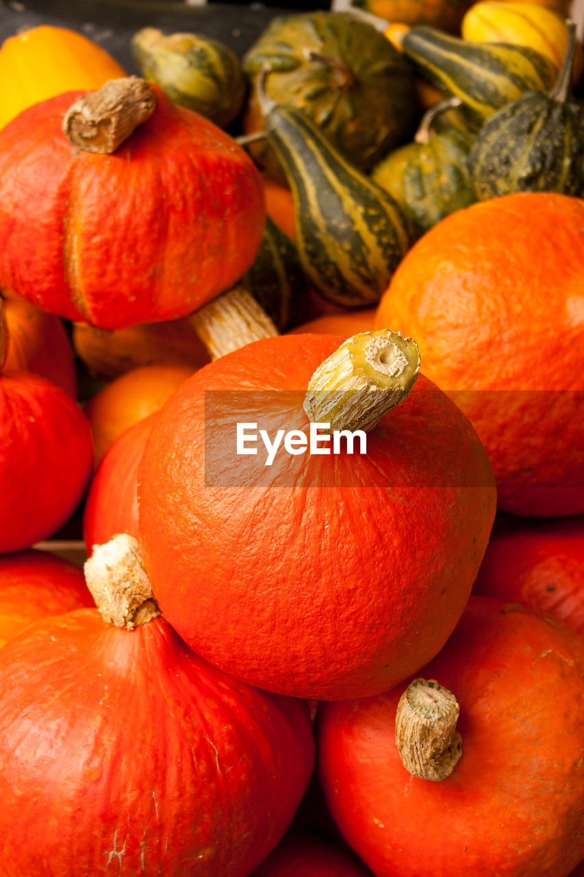 Full frame shot of pumpkins in market