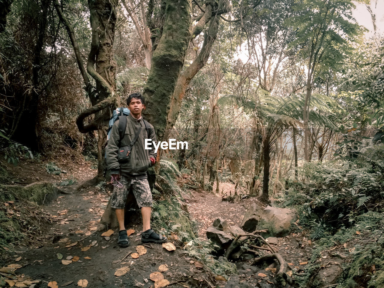 Full length of man standing in forest