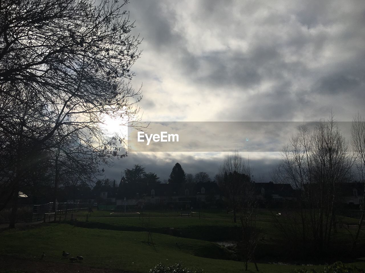 VIEW OF TREES ON FIELD AGAINST SKY