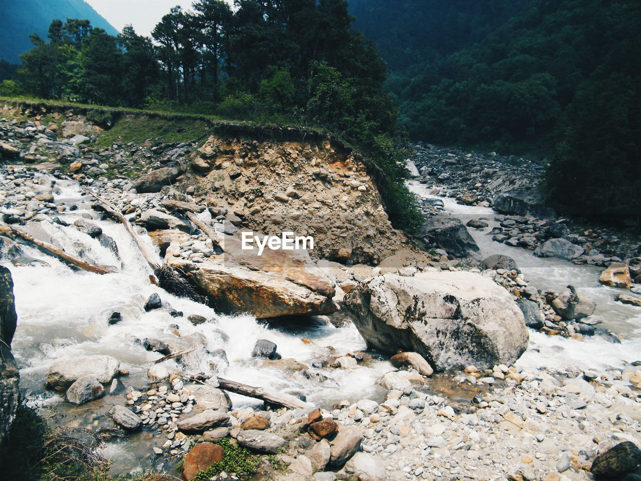 Stream flowing through rocks in forest