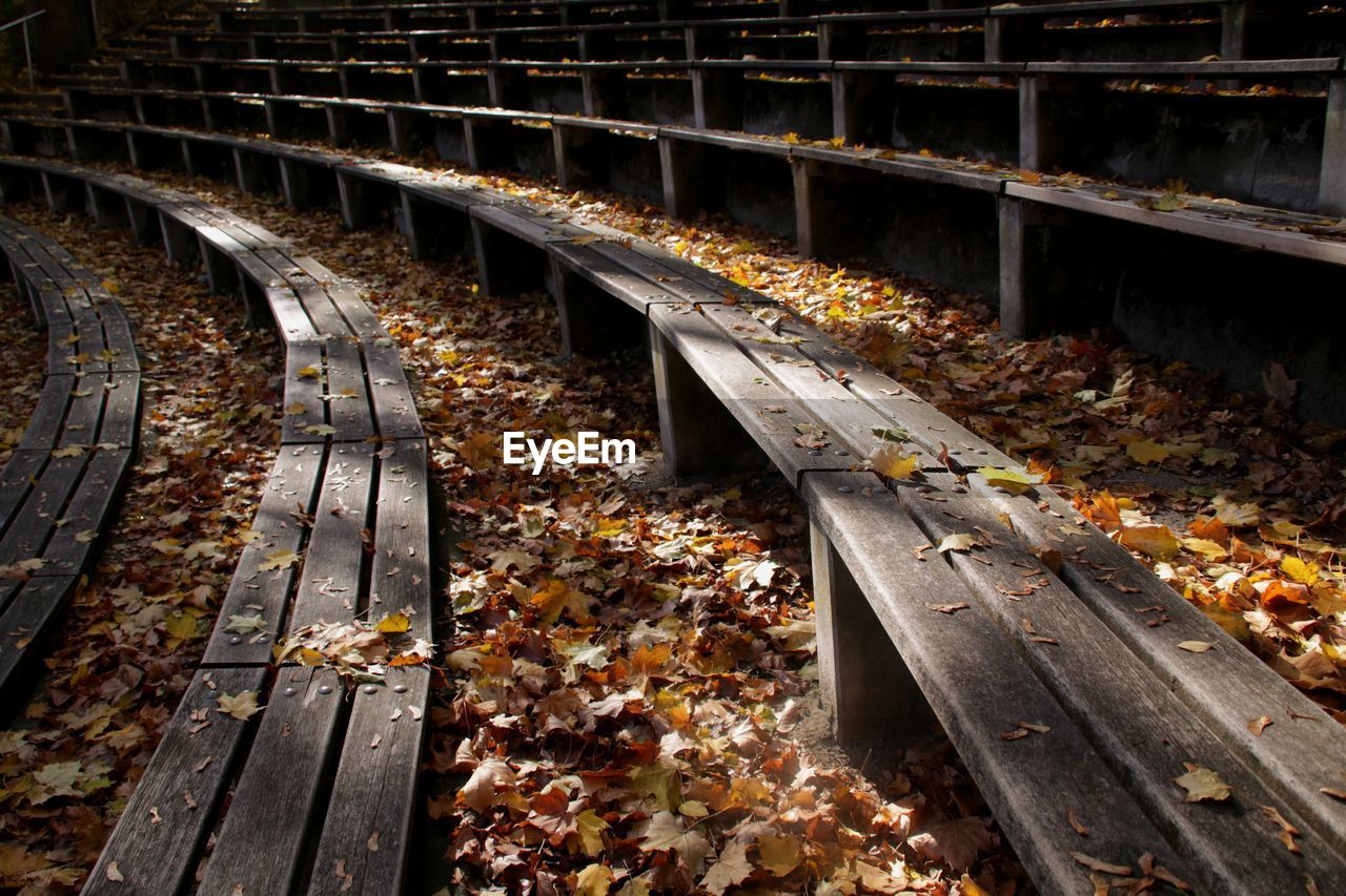 High angle view of wooden bench during autumn 