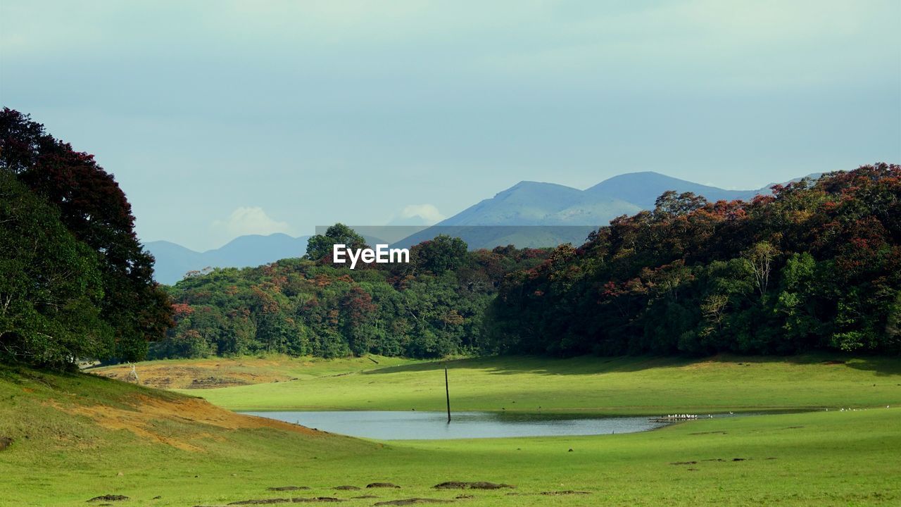 Scenic view of golf course against sky