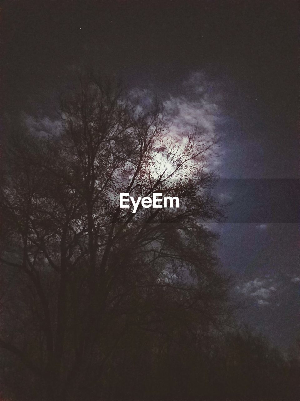 LOW ANGLE VIEW OF BARE TREE AGAINST SKY