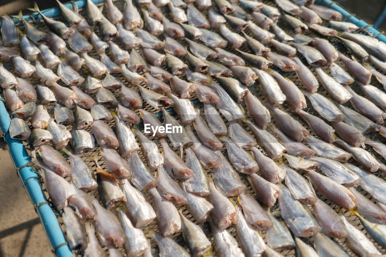 HIGH ANGLE VIEW OF FISH ON MARKET STALL