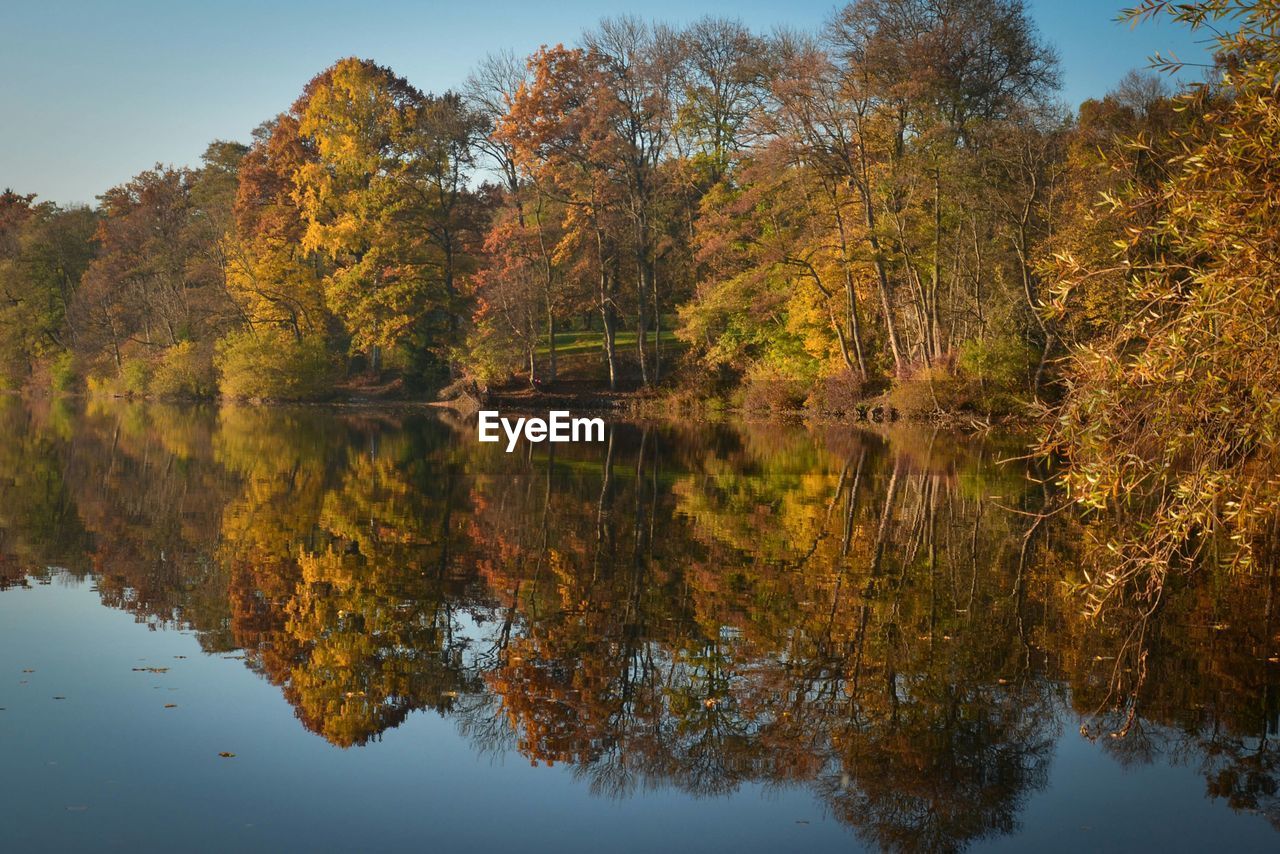 Reflection of trees on lake during autumn