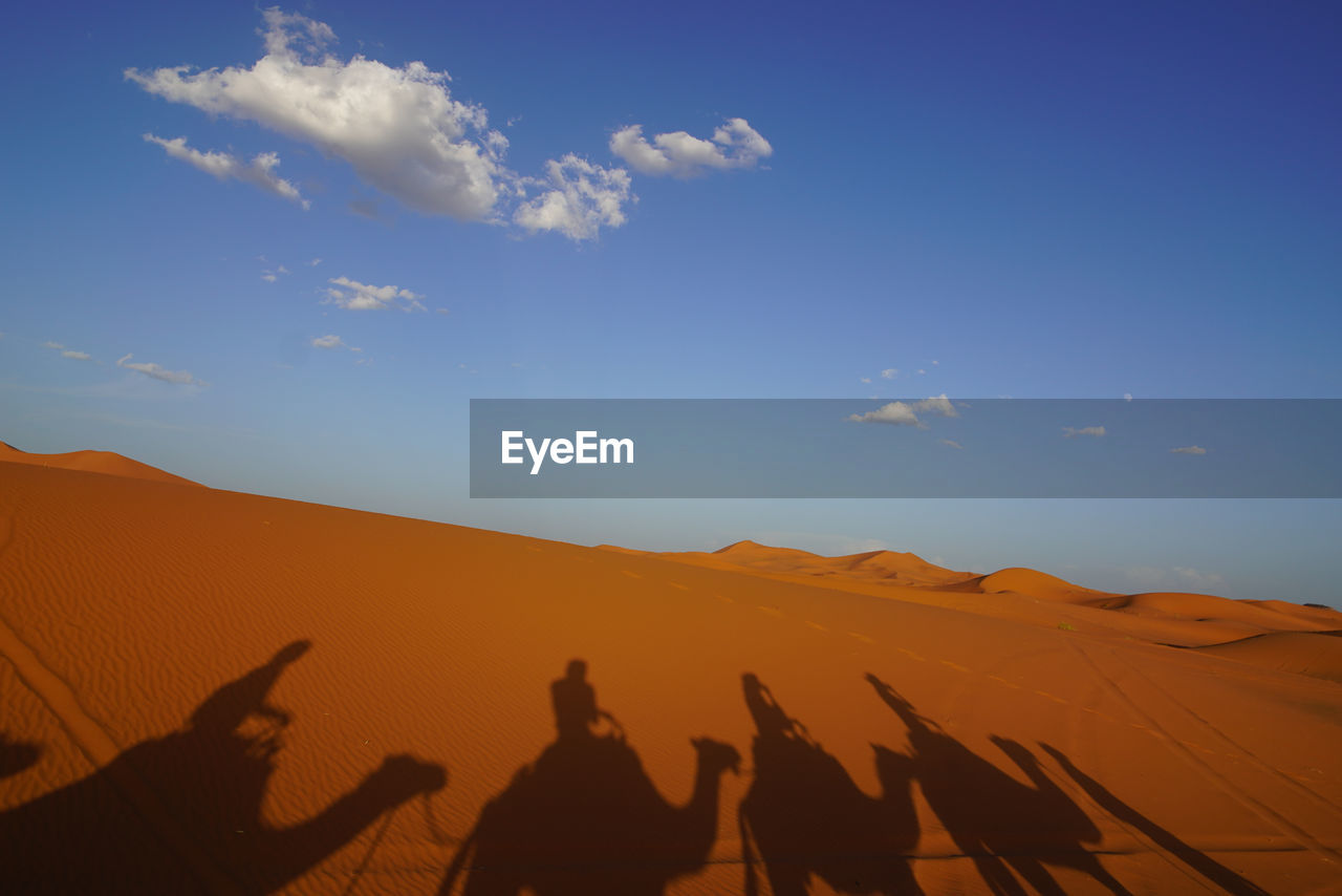 Shadow of people and camel on sand dune