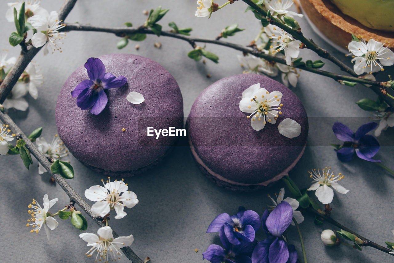 HIGH ANGLE VIEW OF PURPLE FLOWERING PLANTS ON PLANT