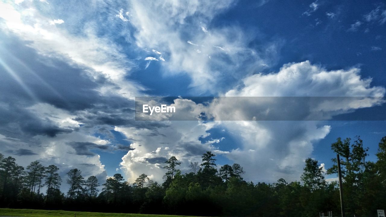 TREES ON LANDSCAPE AGAINST CLOUDY SKY