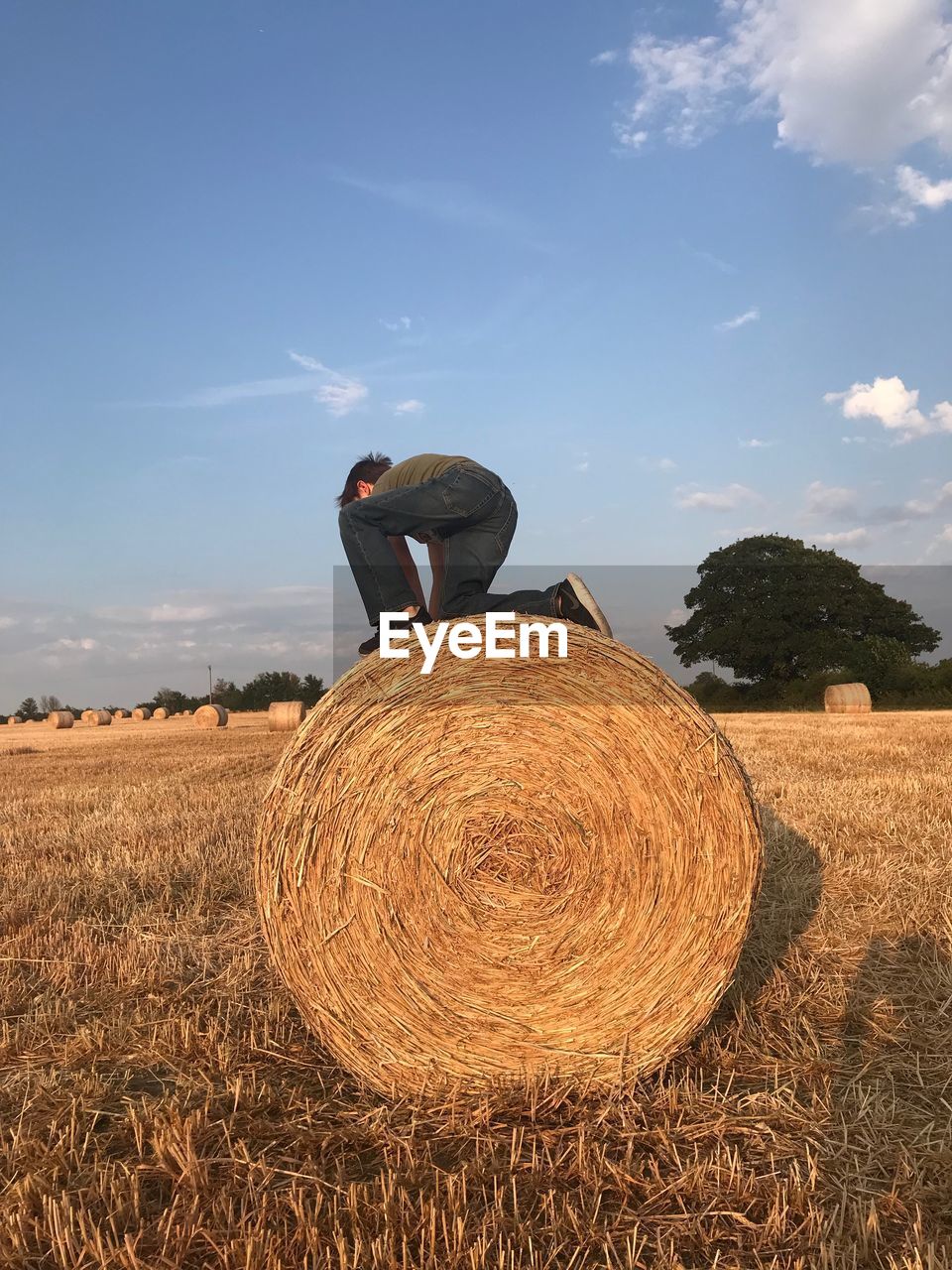 Hay bales on field against sky