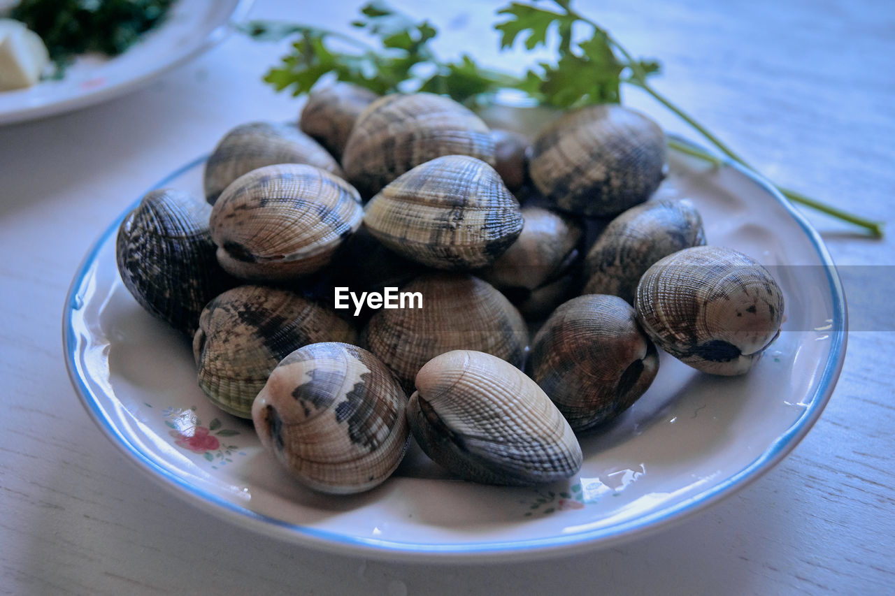 HIGH ANGLE VIEW OF SNAILS IN PLATE