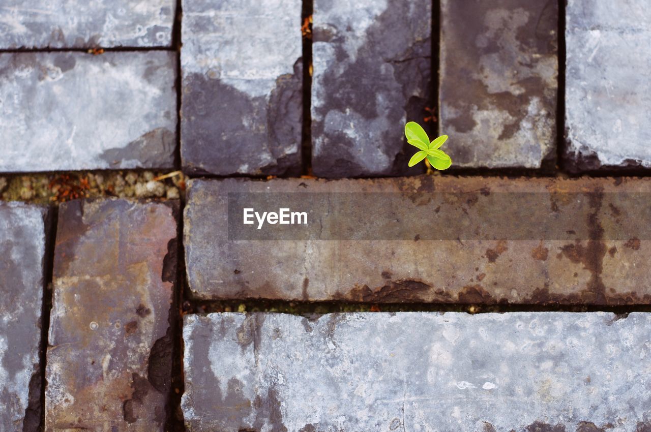 CLOSE-UP OF WEATHERED WALL
