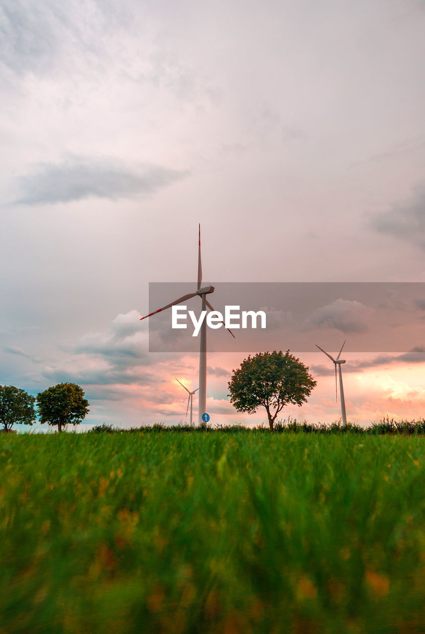 Scenic view of field against sky during sunset