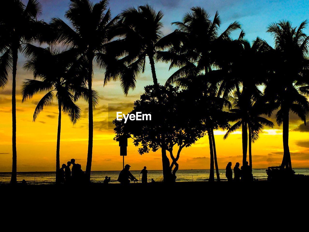 SILHOUETTE PALM TREES ON SHORE AGAINST SKY DURING SUNSET