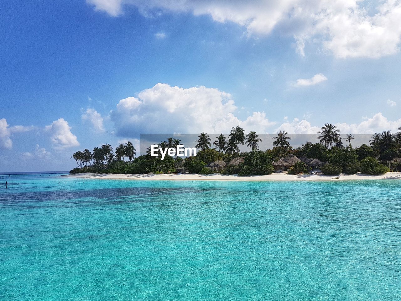 SCENIC VIEW OF SEA BY TREES AGAINST SKY