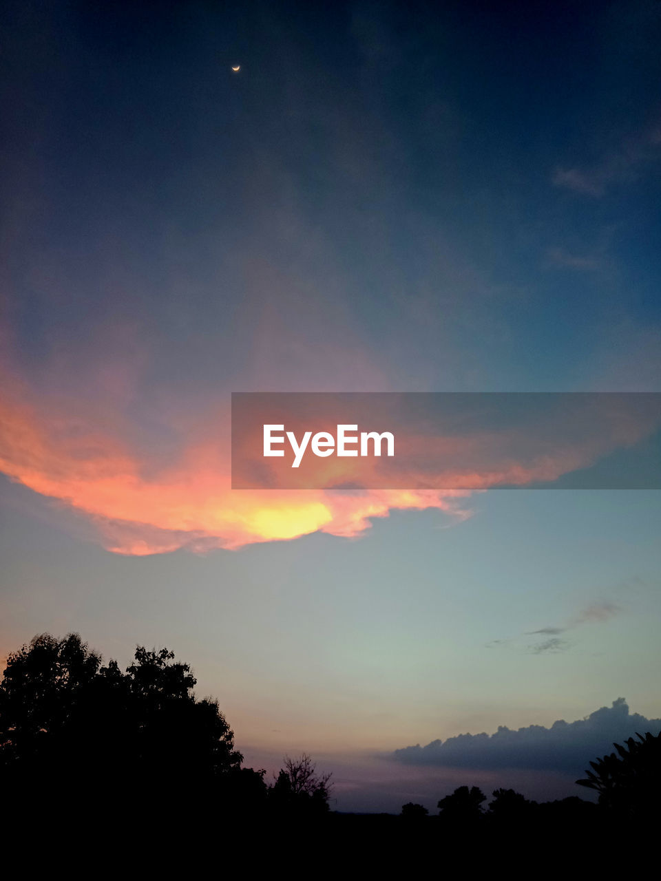 LOW ANGLE VIEW OF SILHOUETTE TREES AGAINST SKY