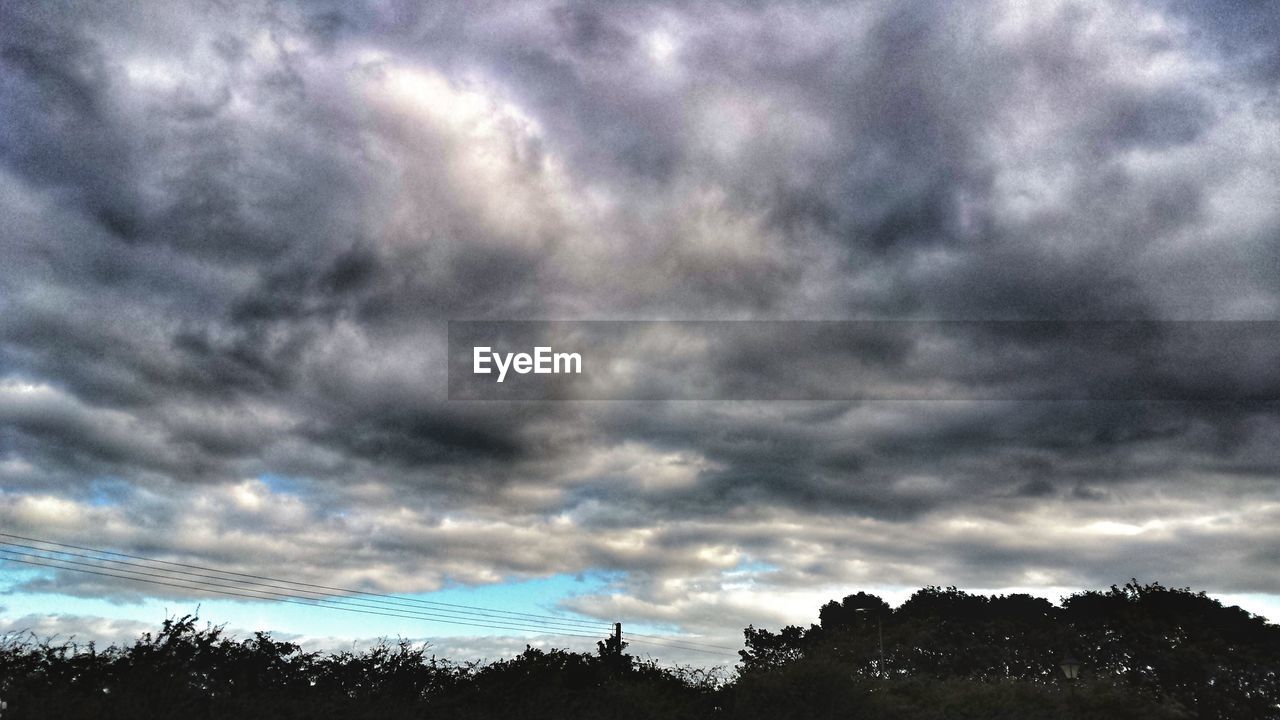 LOW ANGLE VIEW OF STORM CLOUDS OVER TREES