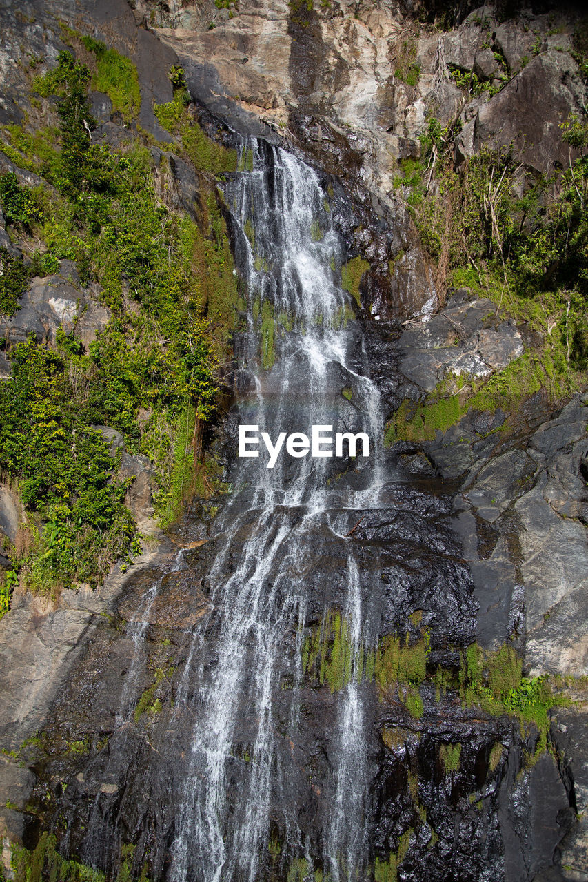 Scenic view of waterfall in forest