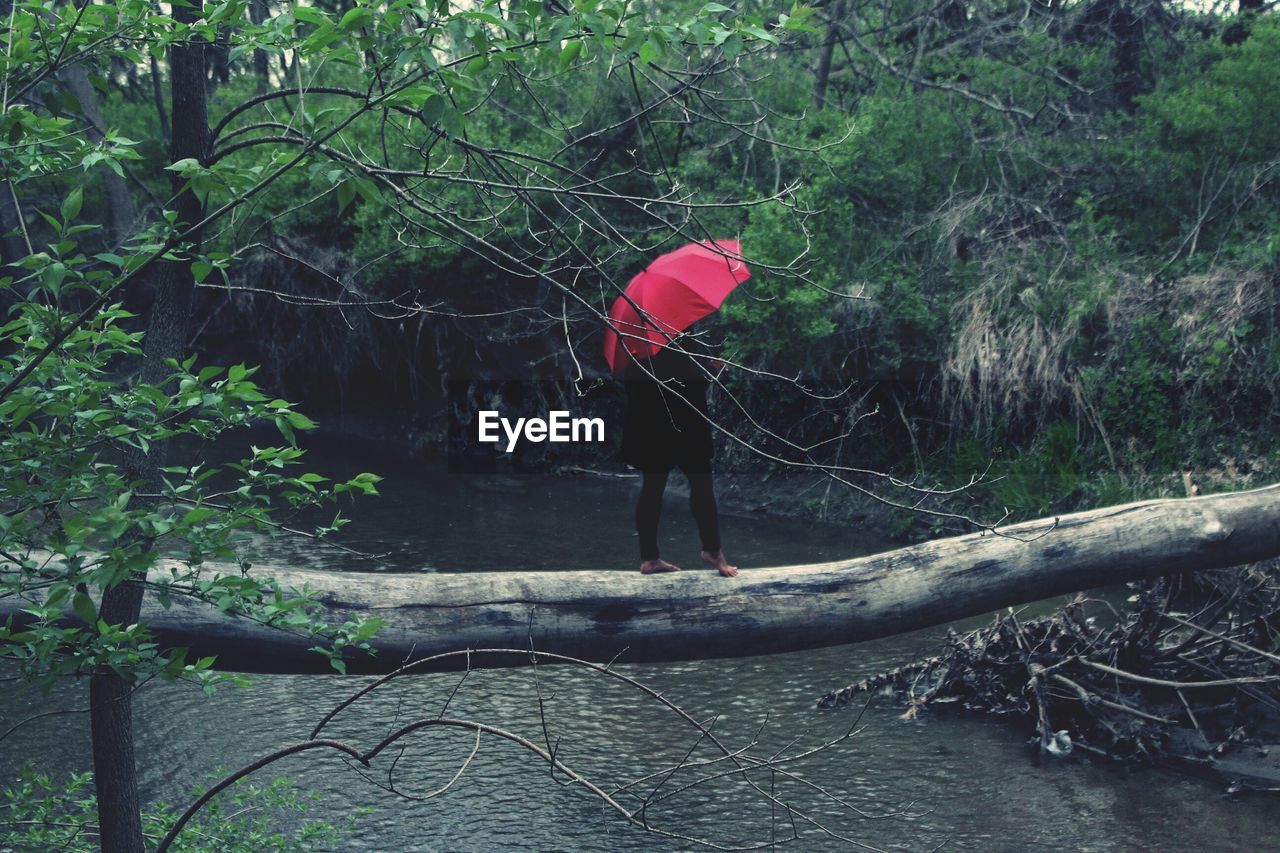Woman with red umbrella walking on tree trunk over river in forest