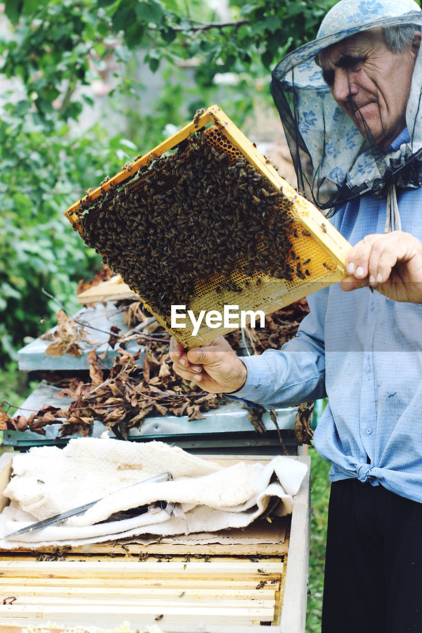 Senior man holding honeycomb against trees