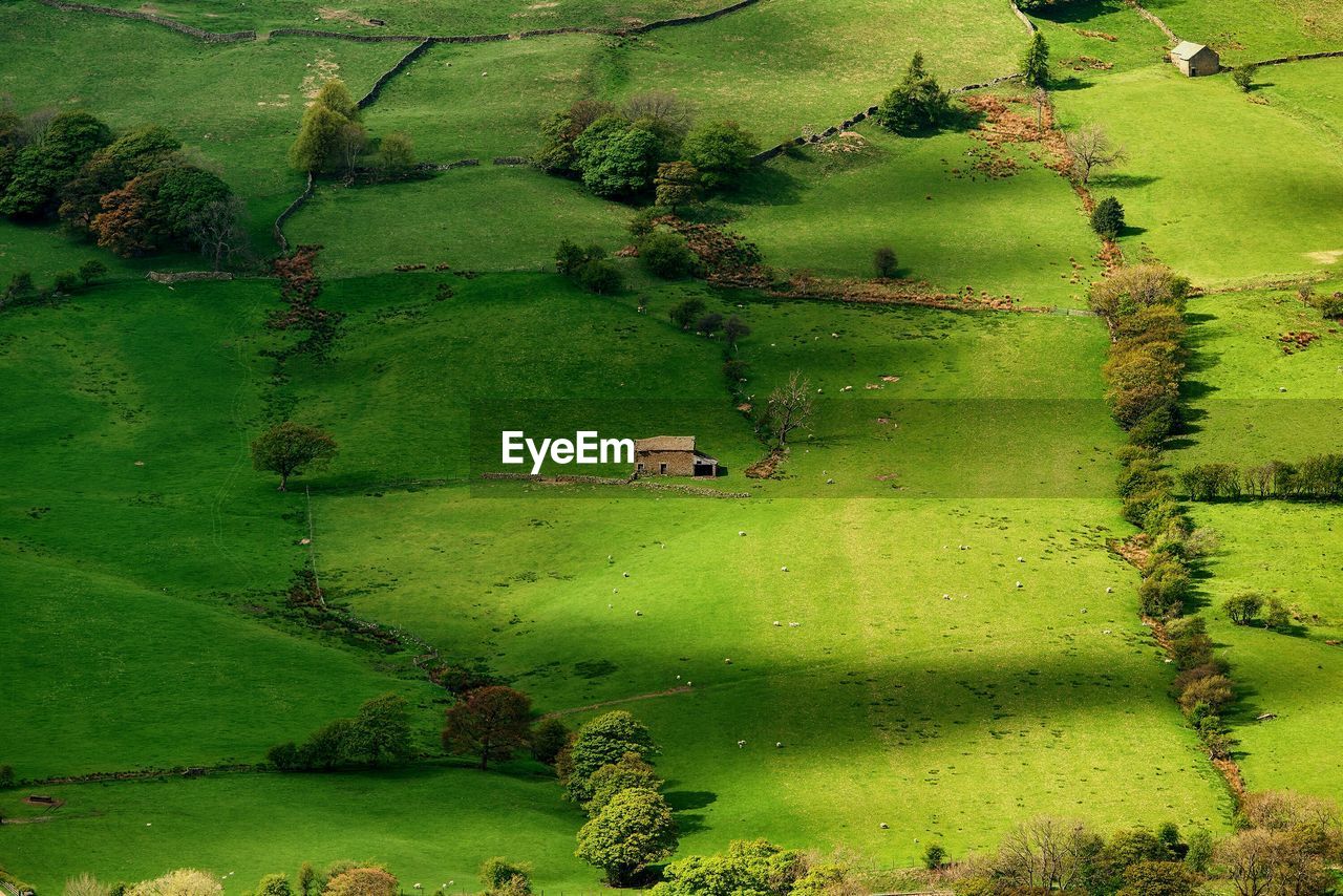 High angle view of rural landscape