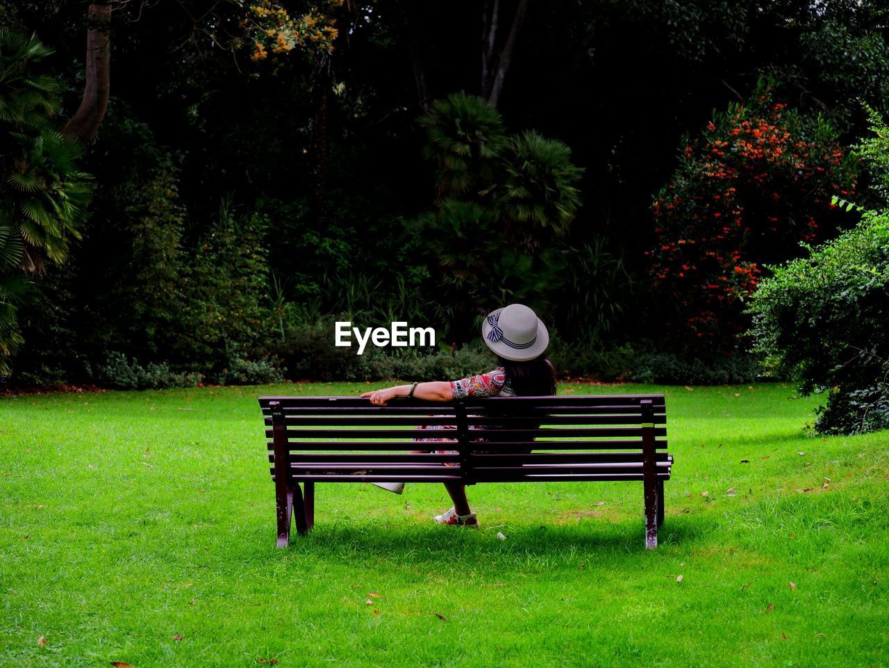 Rear view of woman sitting on bench in park