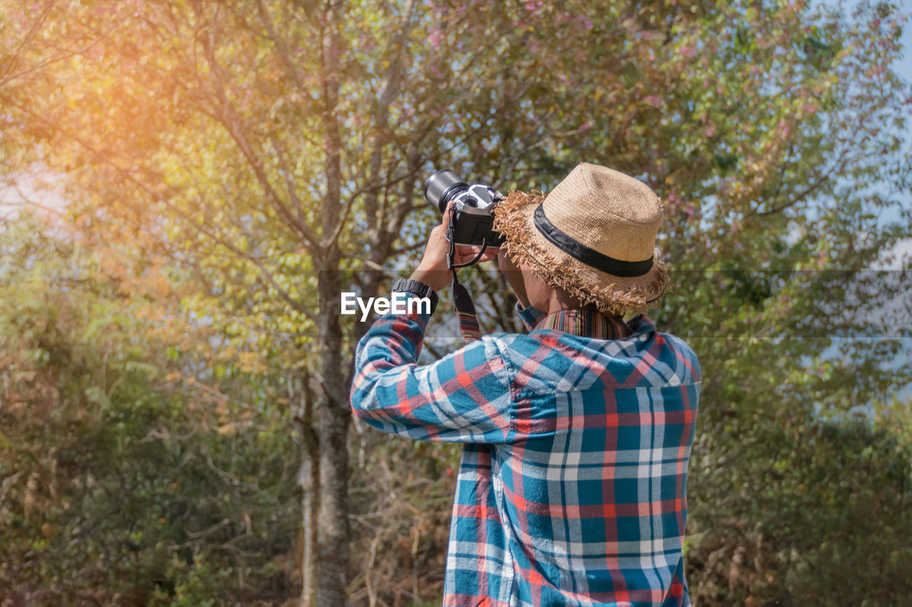 Man photographing trees in forest