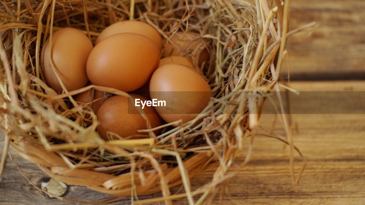 High angle view of eggs in basket