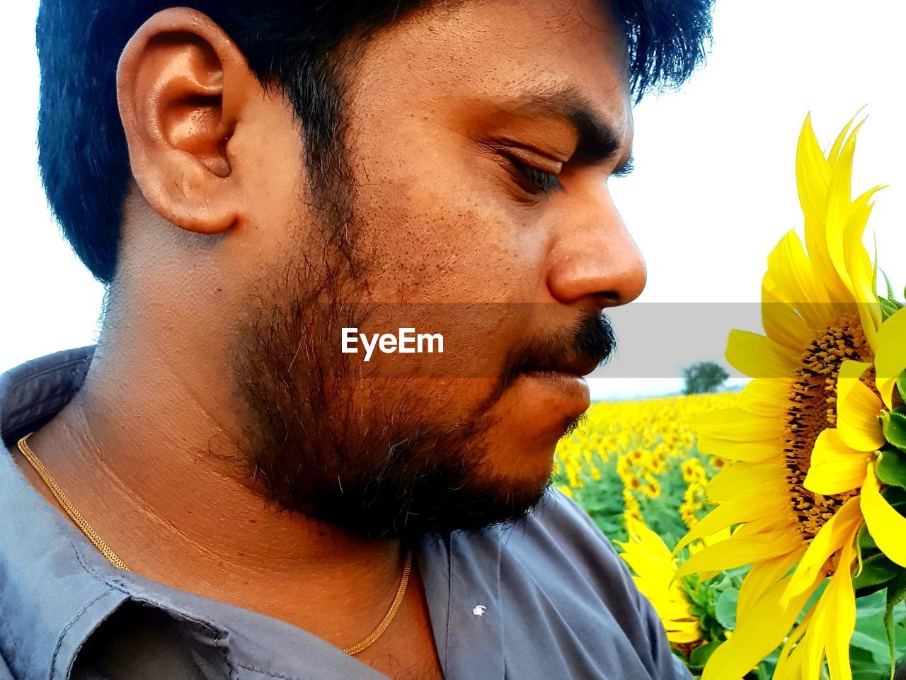 Close-up of man with sun flower