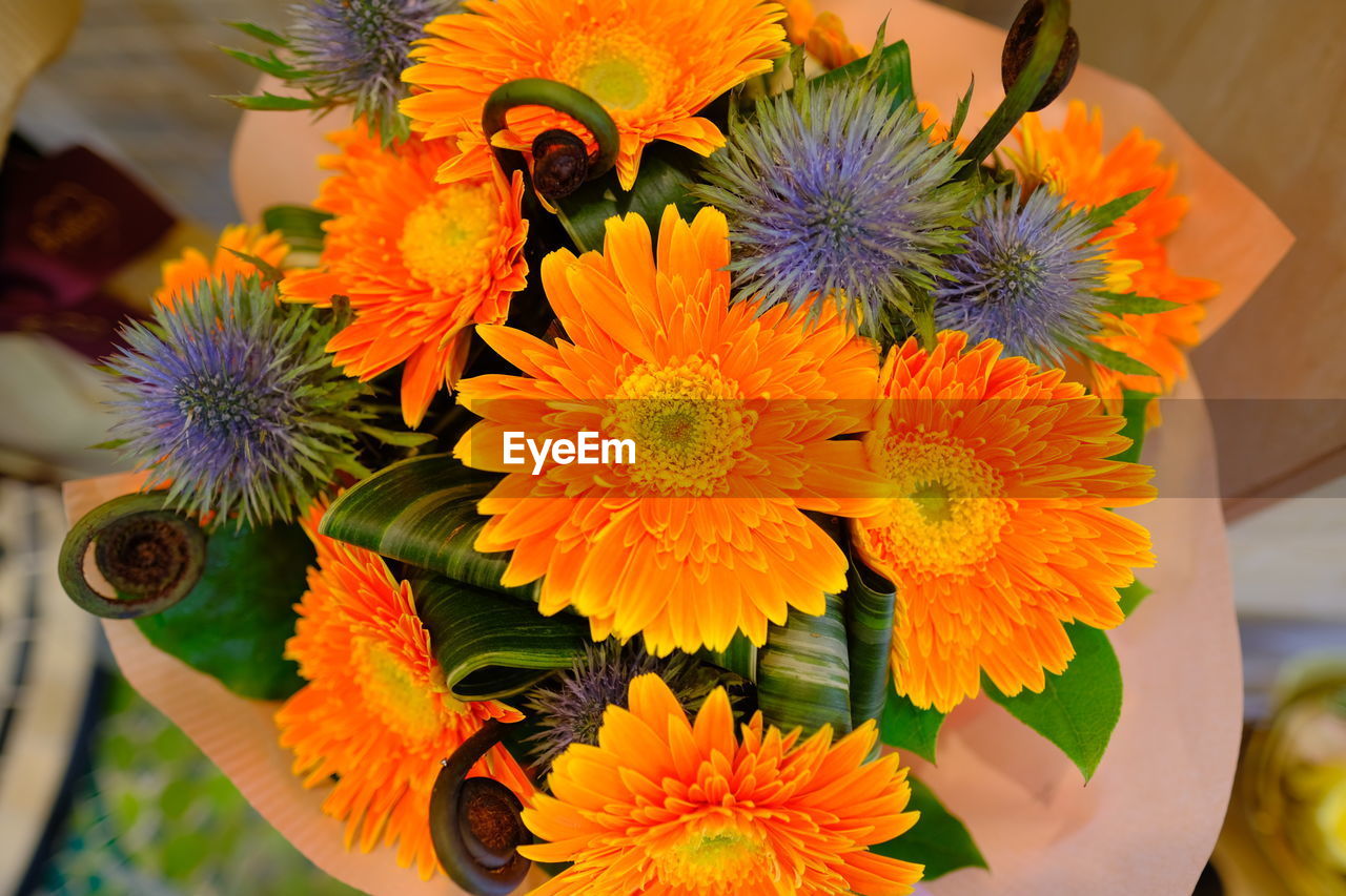 HIGH ANGLE VIEW OF ORANGE FLOWER BOUQUET