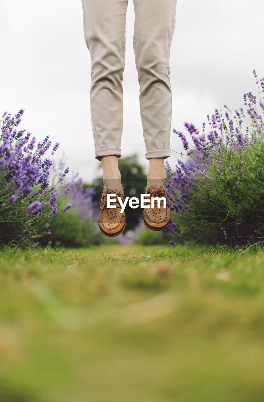 Low section of woman jumping in field of lavender