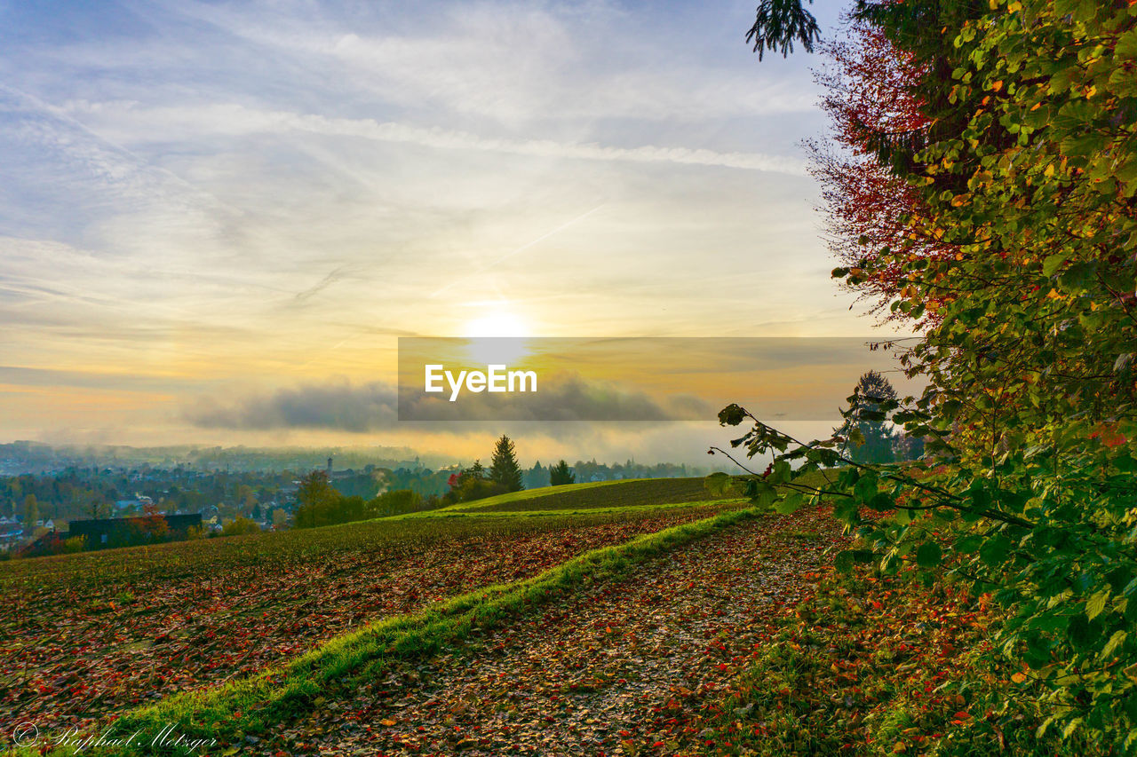 SCENIC VIEW OF FIELD AGAINST SKY AT SUNSET