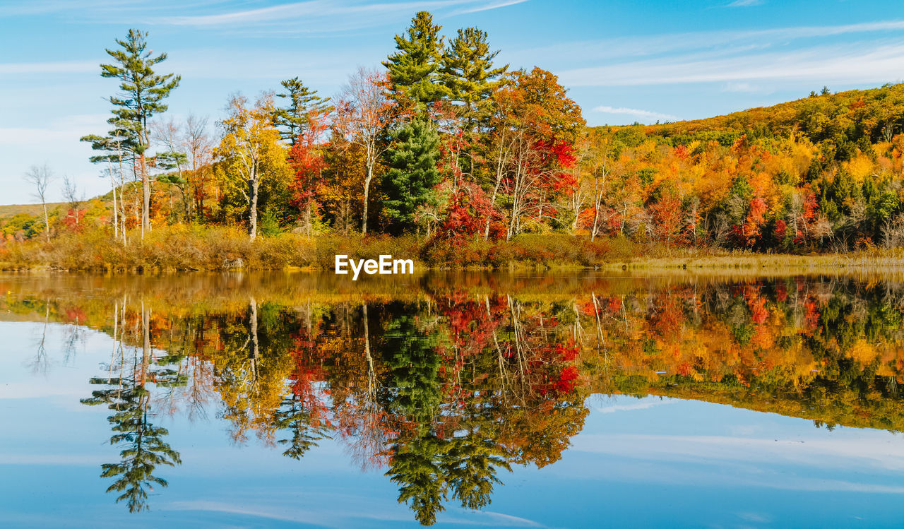 Reflection of trees in lake against sky during autumn