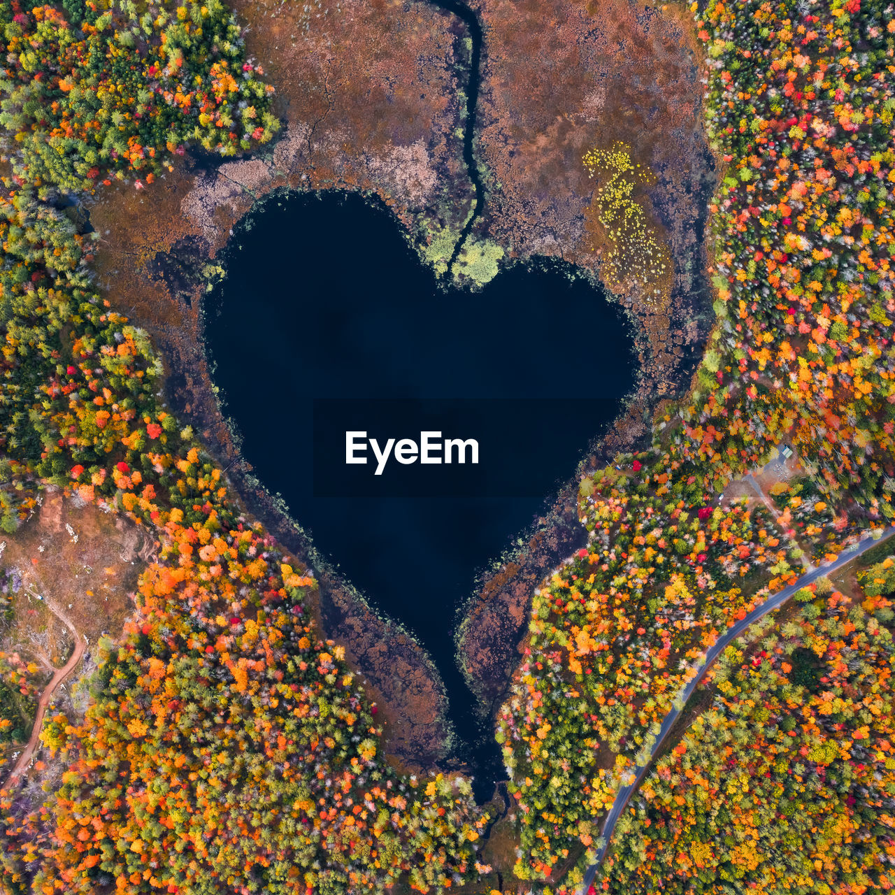High angle view of heart shape on rock