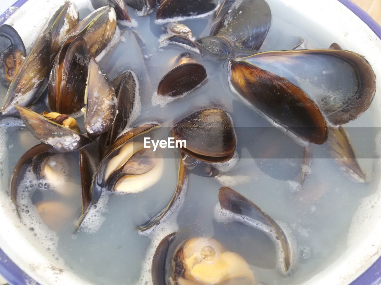 Close-up of mussels in bowl