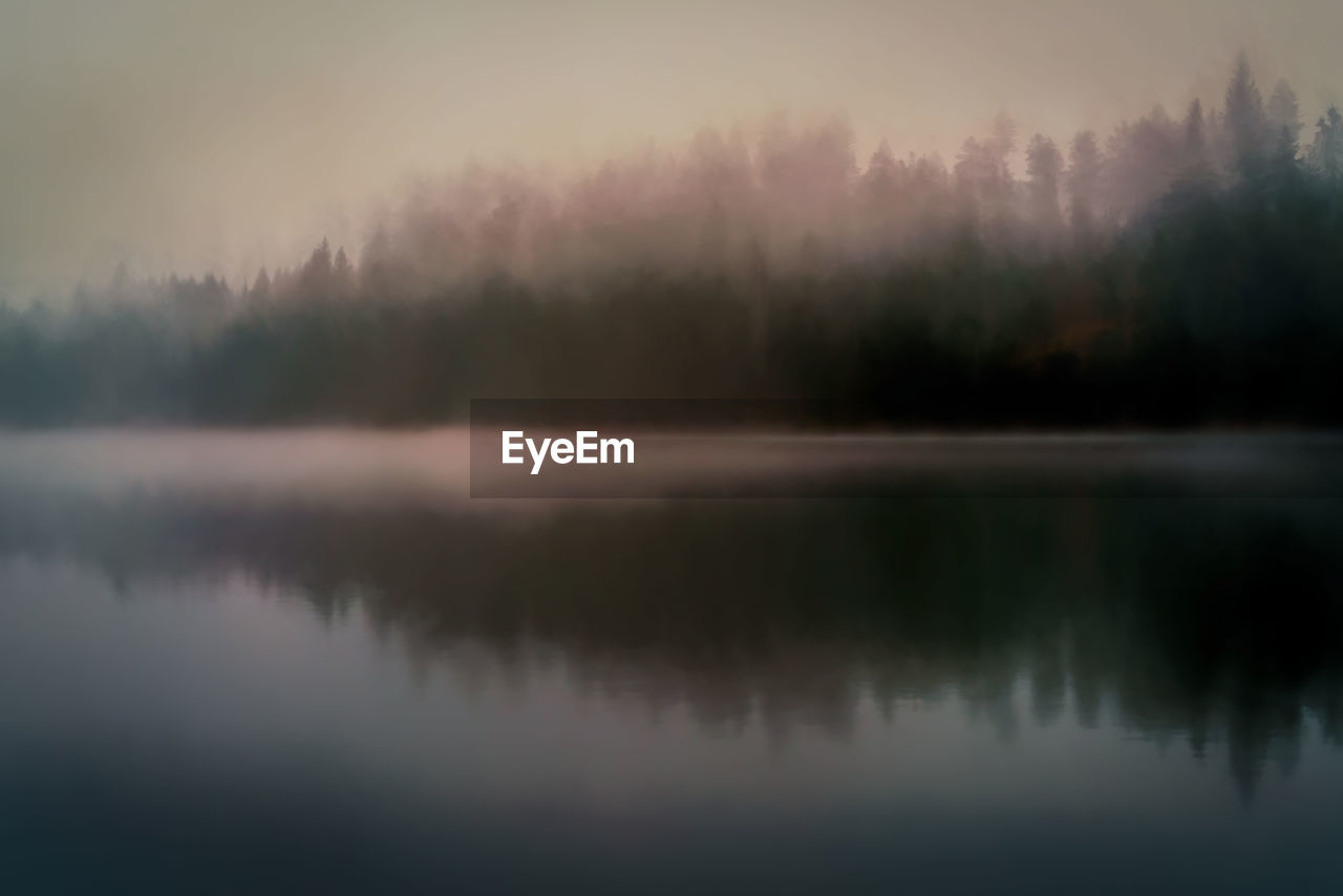 REFLECTION OF TREES IN LAKE