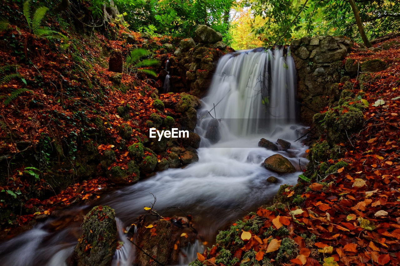 Waterfall in forest